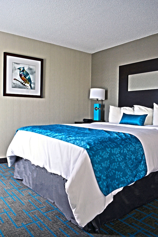 Holiday Inn & Suites Syracuse Airport Liverpool by IHG - photo 10