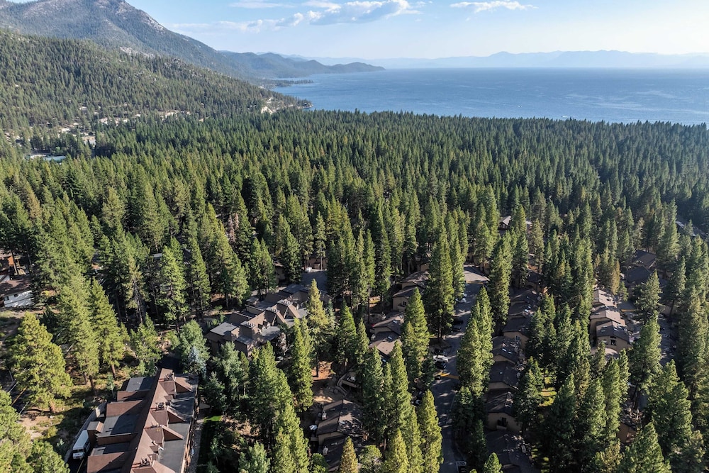 Tahoe Dreamin by Avantstay Central Location - photo 34
