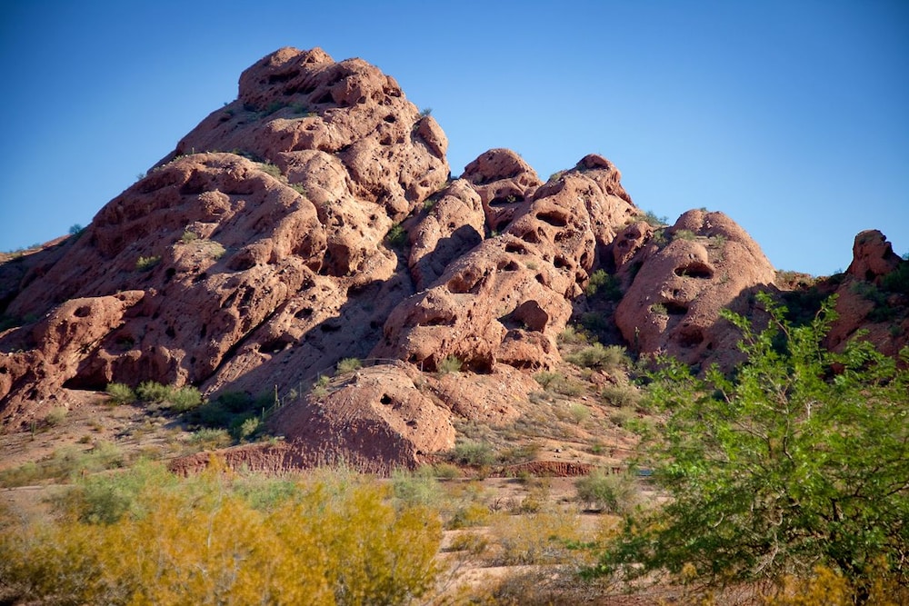 DoubleTree Suites by Hilton Phoenix - photo 74