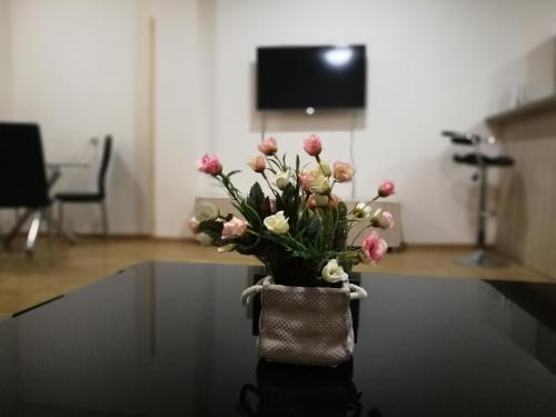 Besiki Luxury Apartments