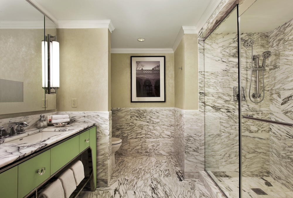 Loews Regency New York Hotel - photo 109