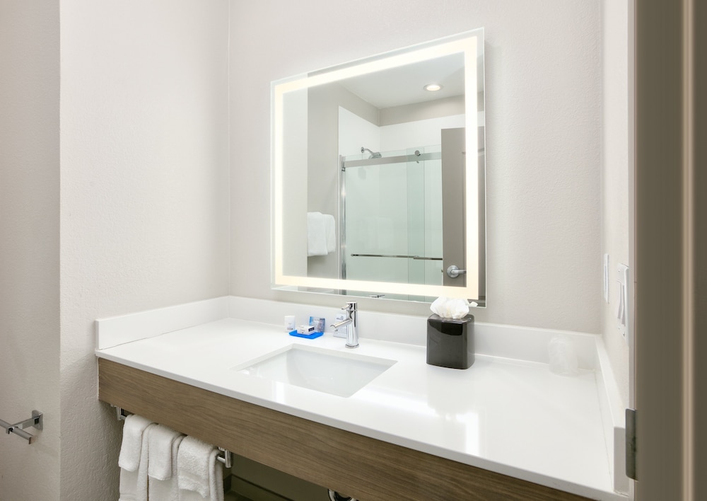 Holiday Inn Express & Suites North Dallas at Preston by IHG - photo 19