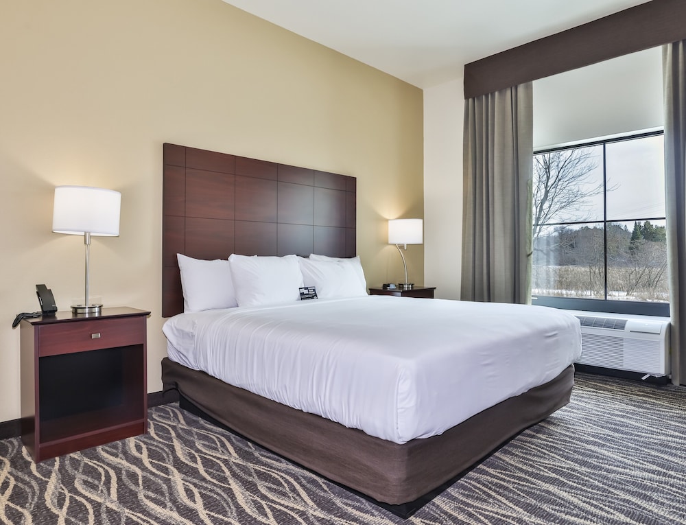 Cobblestone Hotel & Suites Rhinelander - photo 31