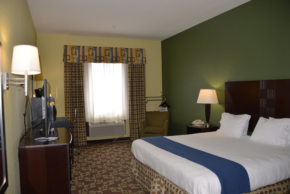 Holiday Inn Express Hotel & Suites Dumas by IHG - photo 5