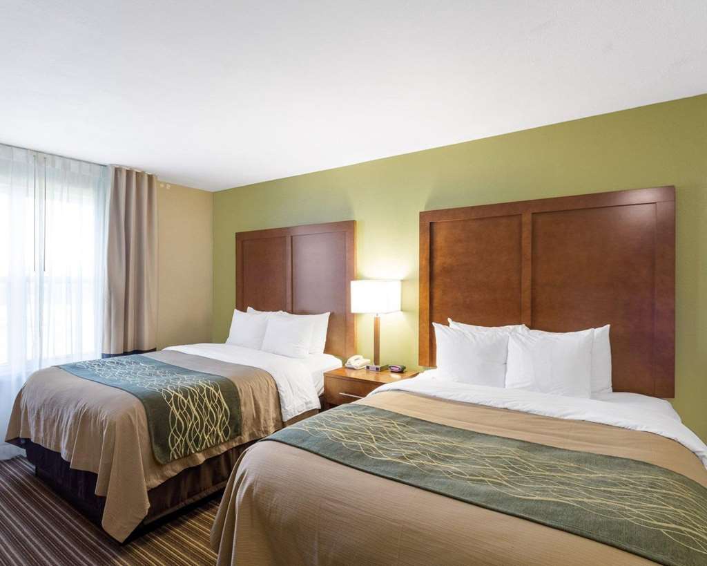 Comfort Inn & Suites Fayetteville University Area - photo 20