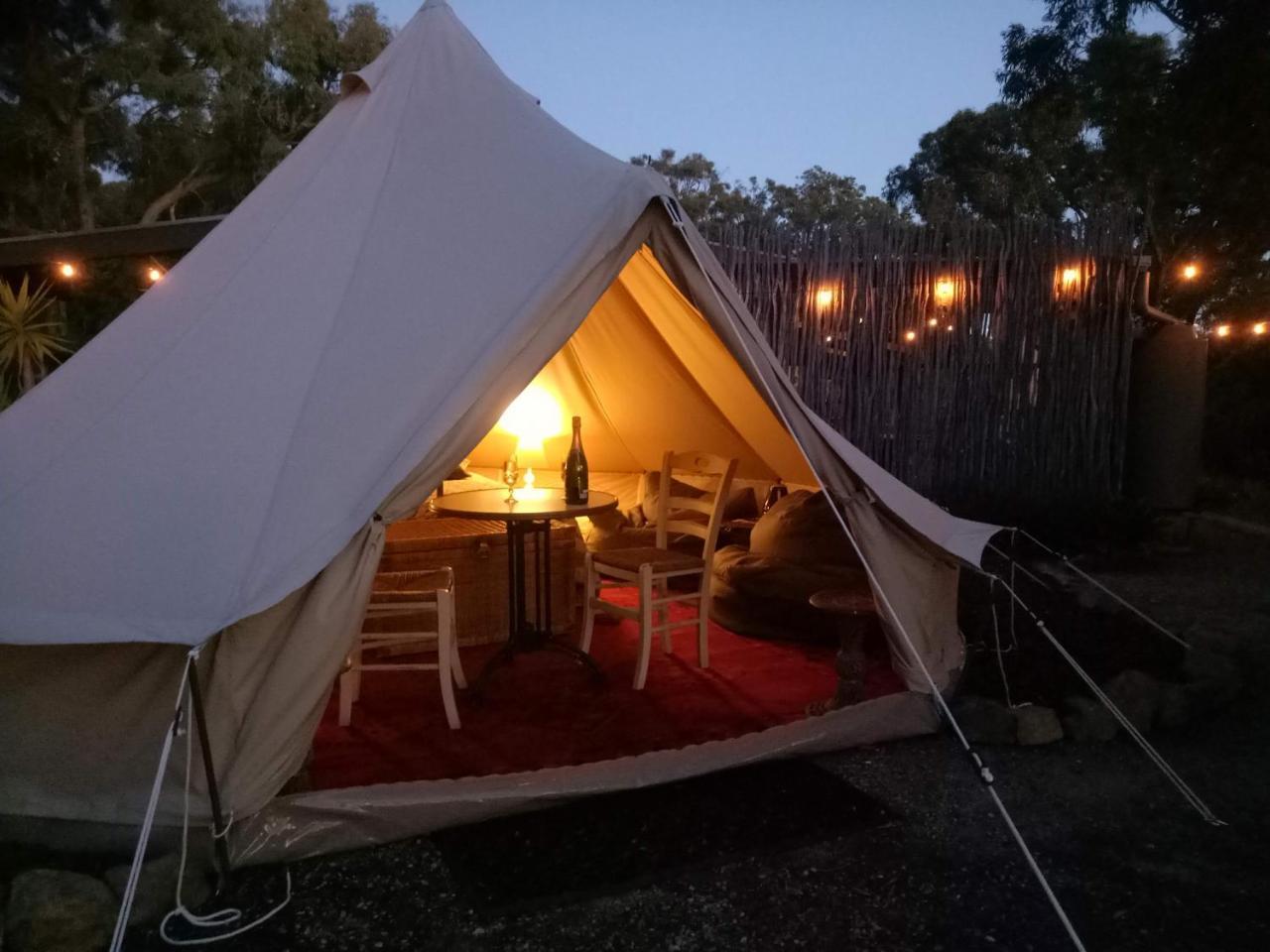 Macedon Ranges Glamping with kangaroos — Macedon — photo 2