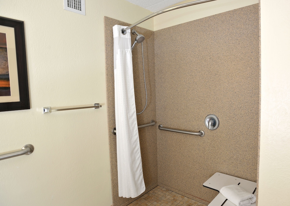 Holiday Inn Hotel & Suites Charleston West by IHG - photo 27