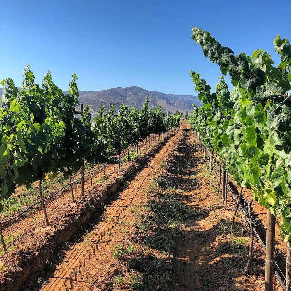 Winery