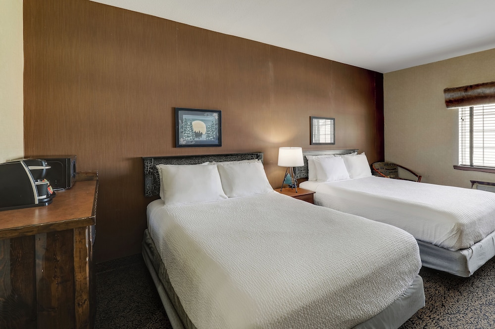 Stoney Creek Hotel Columbia - photo 18