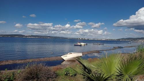 Paulette la Galinette Et Laurent Le Goeland - last minute hotel in Sete