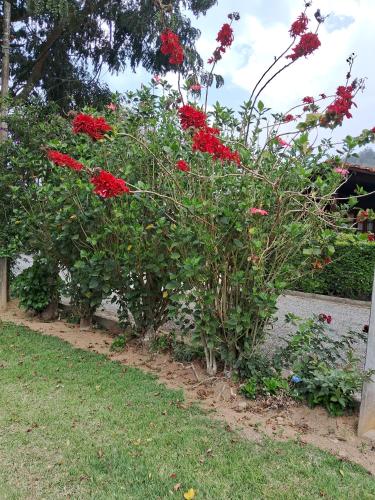 Paz e Conforto na Serra Pet Friendly in Teresopolis, Brasil