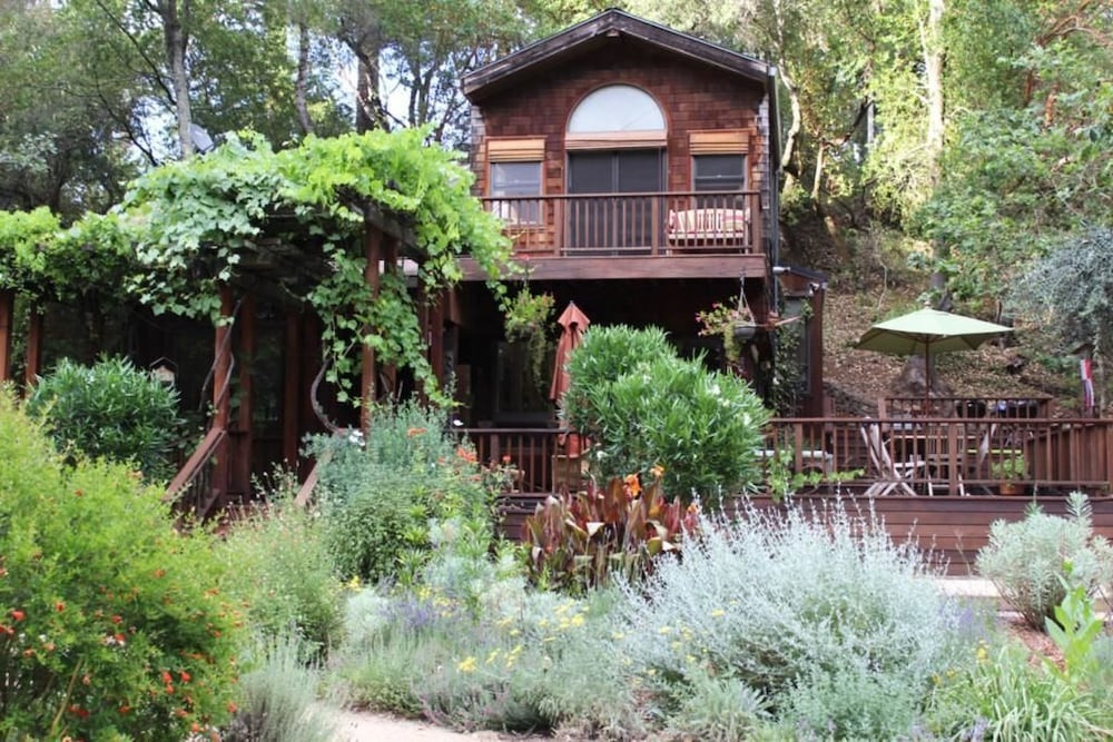 Glen Cameron Holiday - photo 15