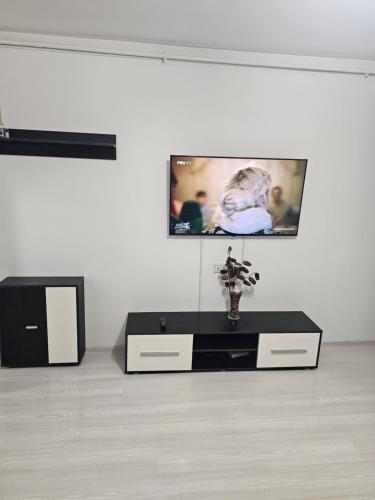 Garsoniera Ioana 21741391 — Turnu Magurele