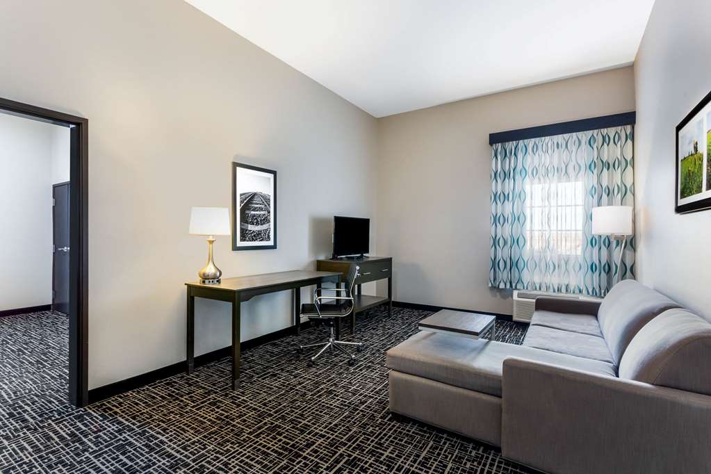 Quality Inn & Suites Colorado City TX - photo 36