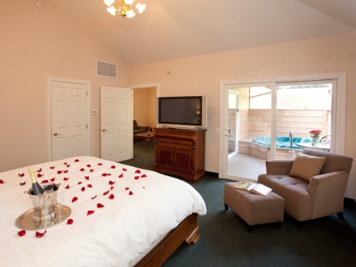 Sycamore Mineral Springs Resort - photo 19