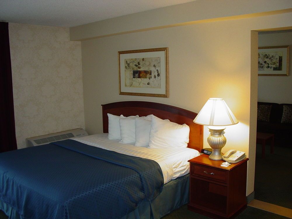 Quality Suites Downtown Colorado Springs - photo 16