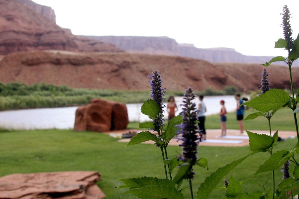 Sorrel River Ranch Resort & Spa - photo 64
