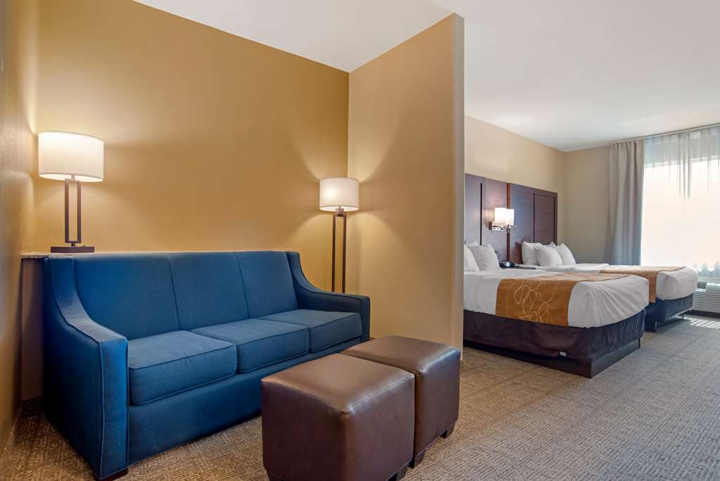 Comfort Suites Alexandria North - photo 18