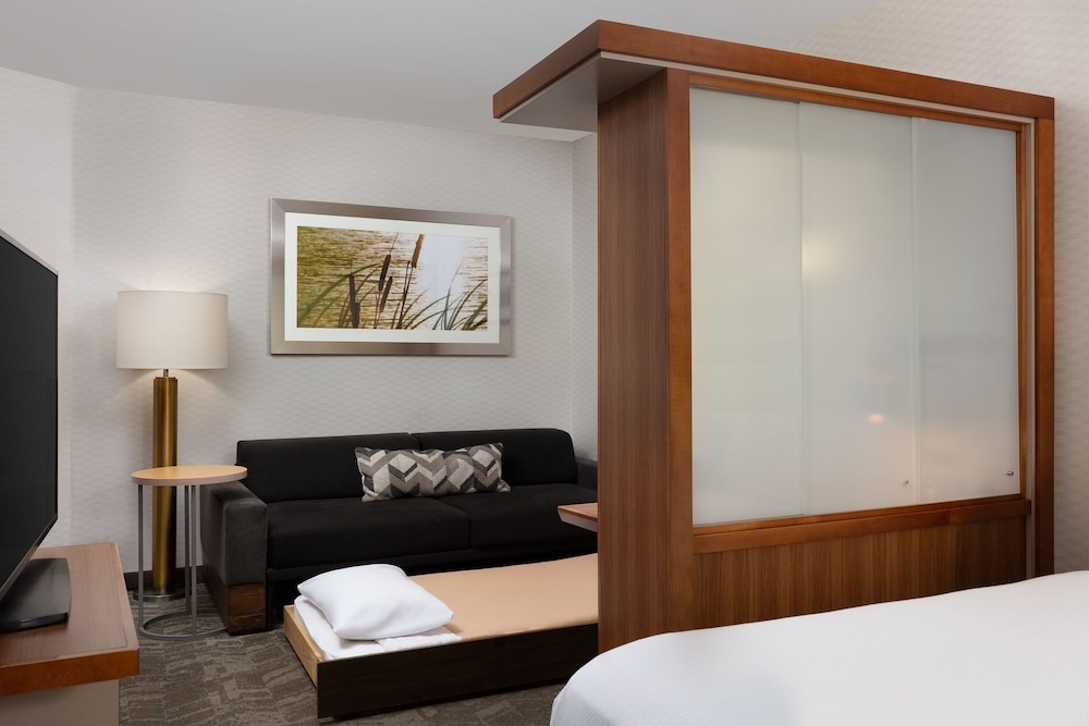 SpringHill Suites by Marriott Grand Junction Downtown Historic Main St. - photo 7
