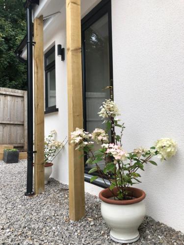 The Croft — Cowbridge — photo 2