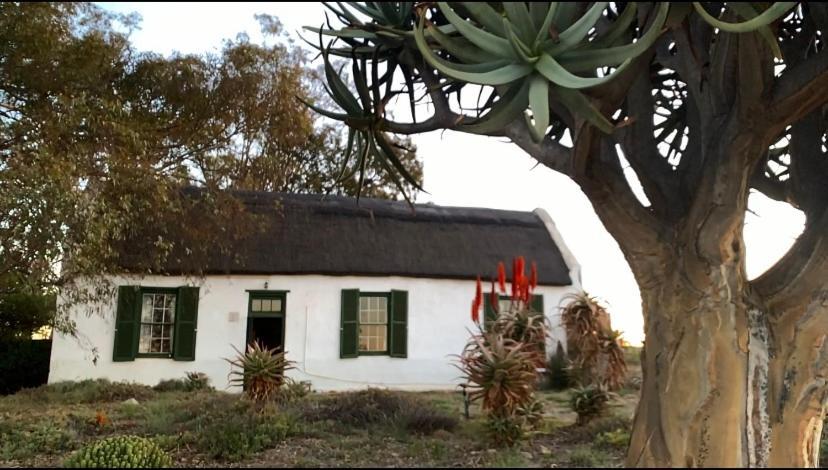 Moreson - carbon neutral hotel in Unknown City