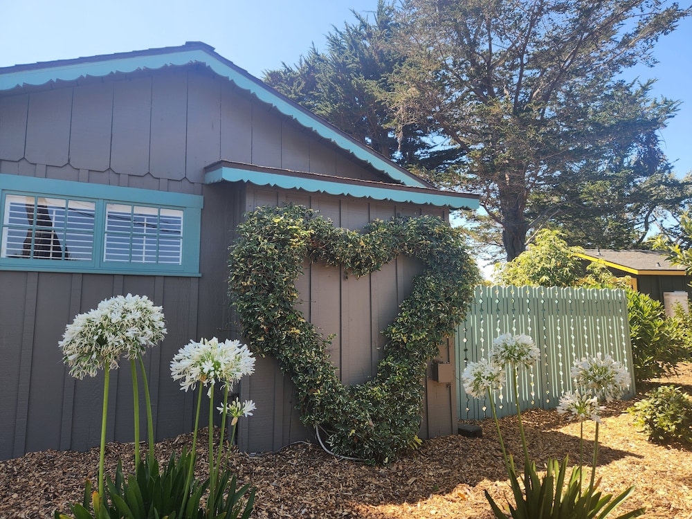 Carmel River Inn & Cottages - photo 85