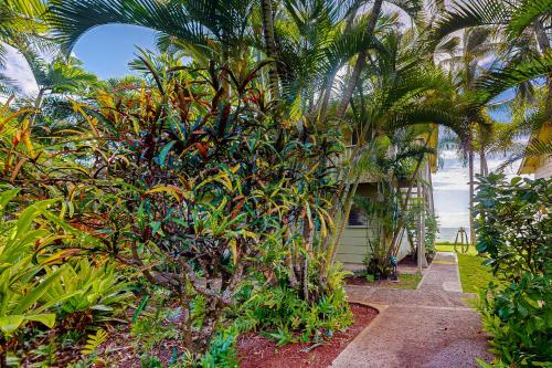 Kapa'a Sands 12 — hotel near Lihue Airport