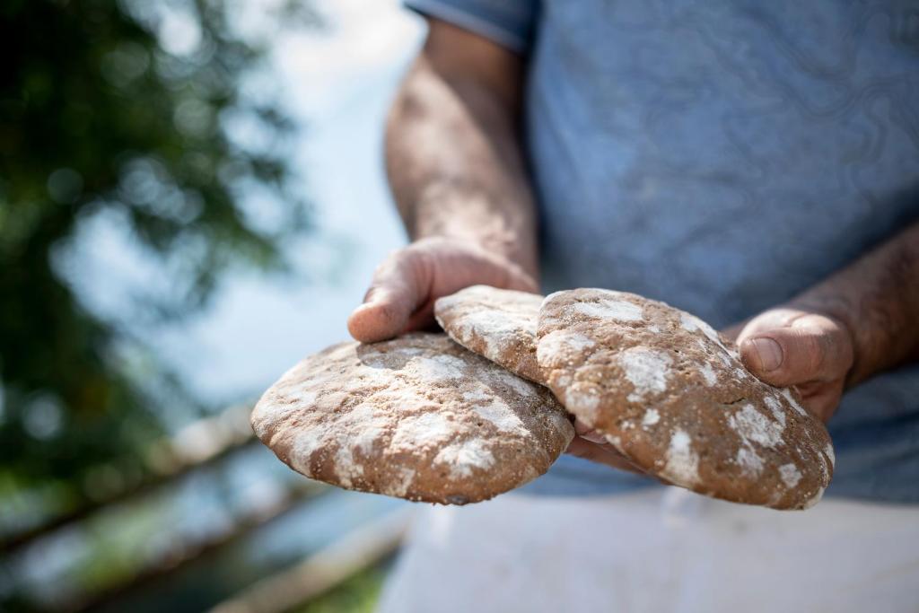 Familienalm Taser — carbon neutral stay, Scena