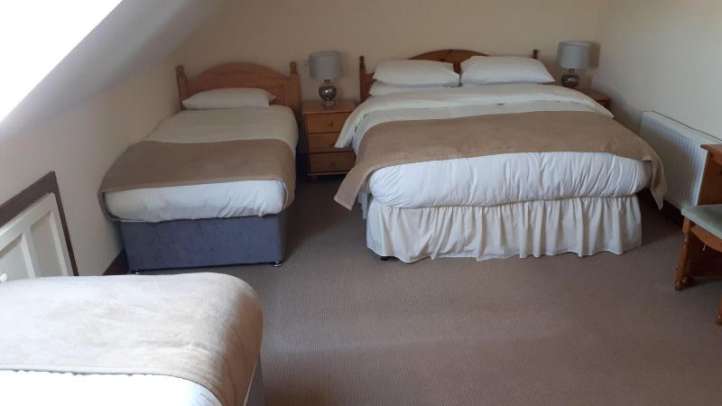 Dingle Harbour Nights Room Only in Dingle, Republic of Ireland