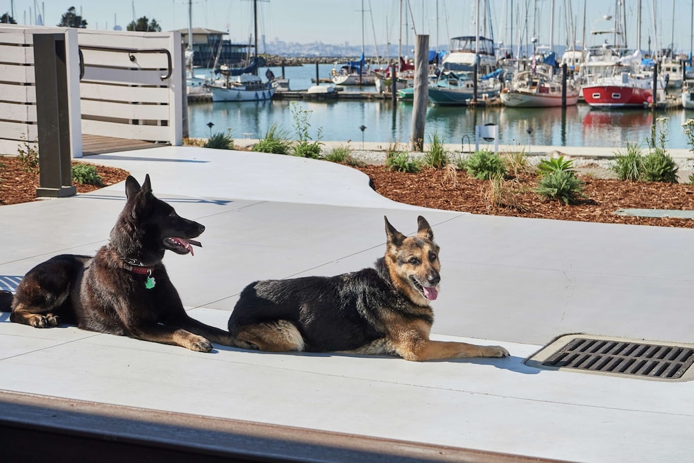 DoubleTree by Hilton Hotel Berkeley Marina - photo 104