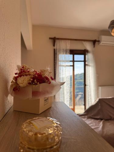 Patrikon in Zagora, Greece