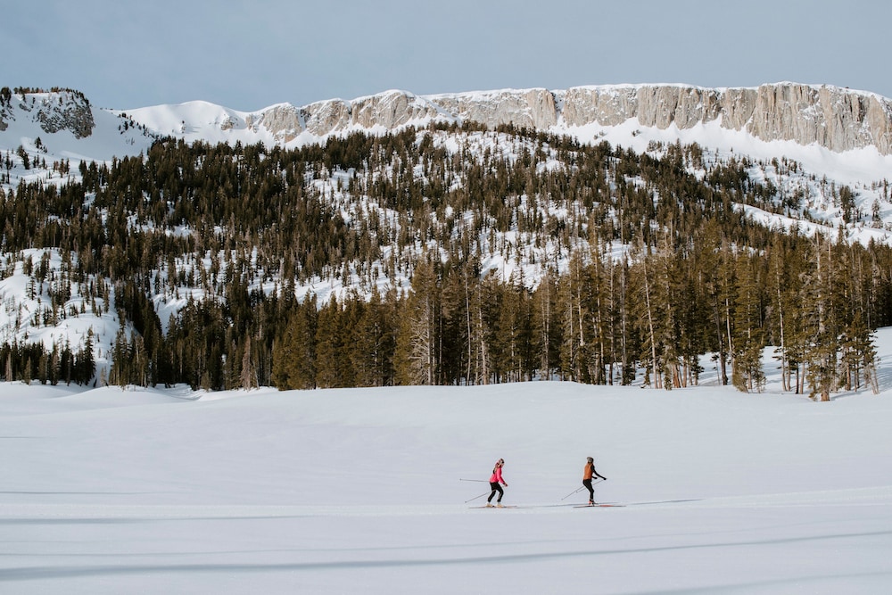 Tamarack Lodge and Resort - photo 41