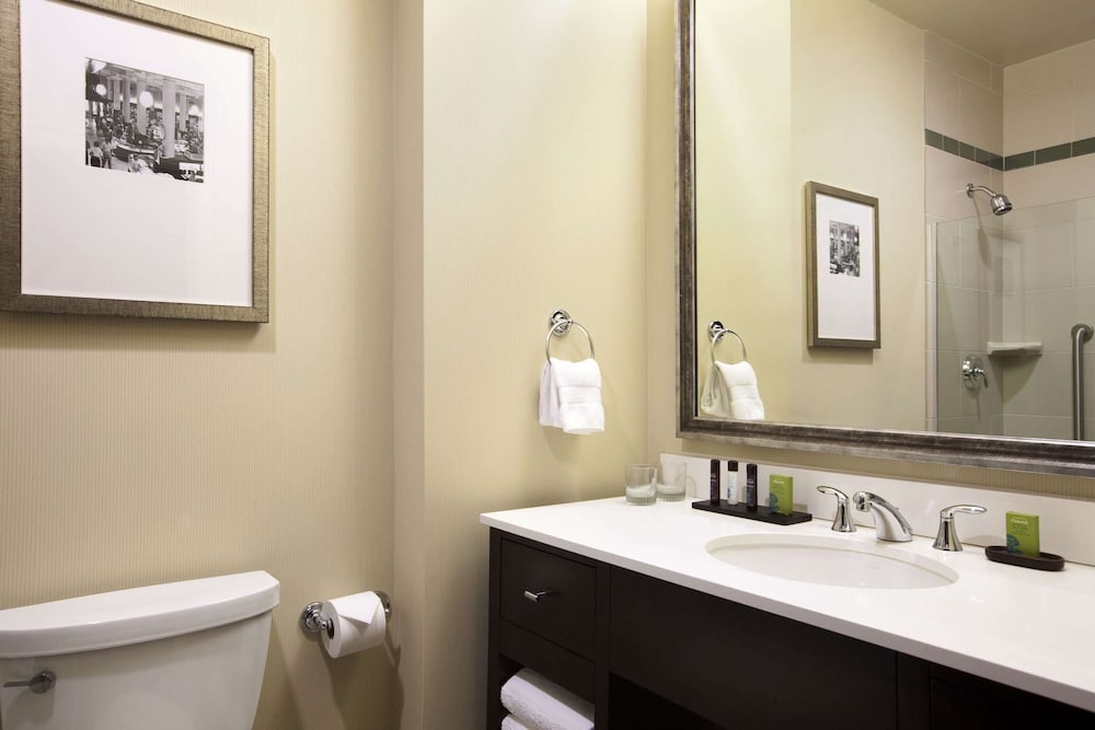 Embassy Suites by Hilton St. Louis Downtown - photo 24