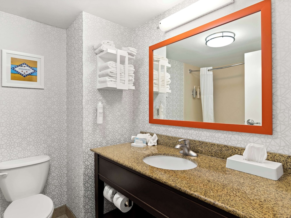 Hampton Inn Blytheville - photo 17