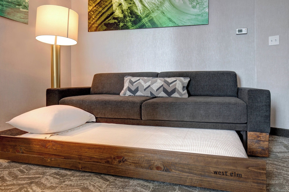 SpringHill Suites by Marriott Orangeburg - photo 6
