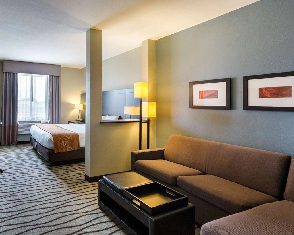 Comfort Suites near Westchase on Beltway 8 - photo 11