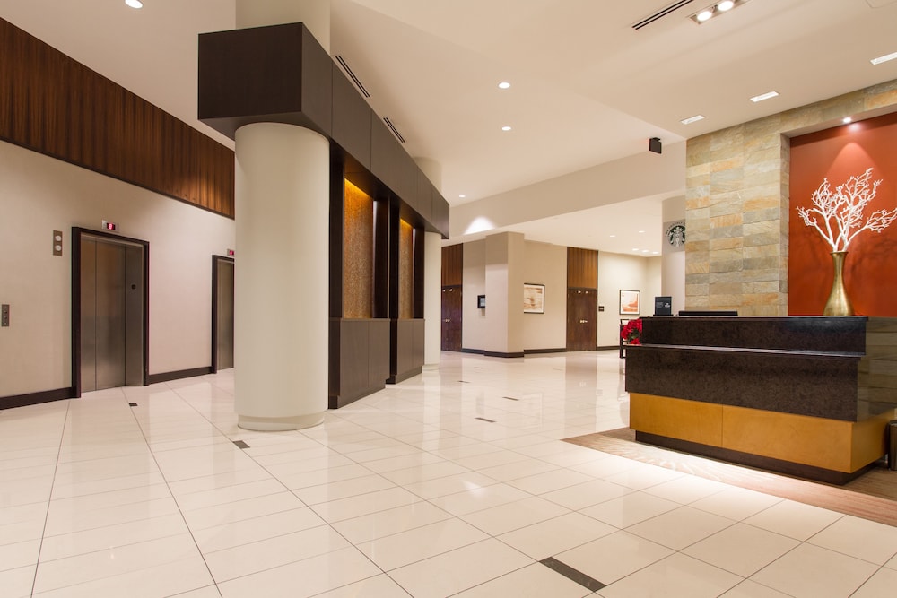 Hilton Albany - photo 4