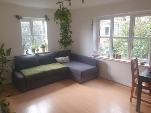 Peaceful room on sharing flat in Wimbledon — 4-Star Luxury Hotel in London, United Kingdom