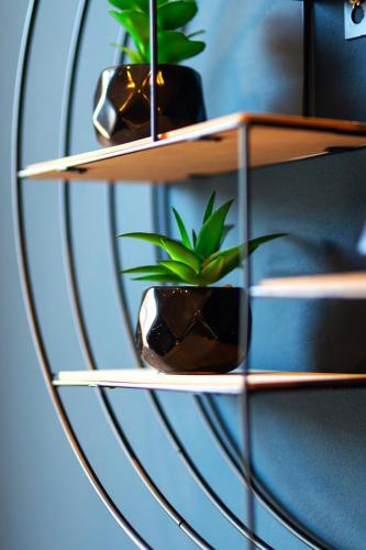 Liro Hotel Viersen — Viersen — photo 4