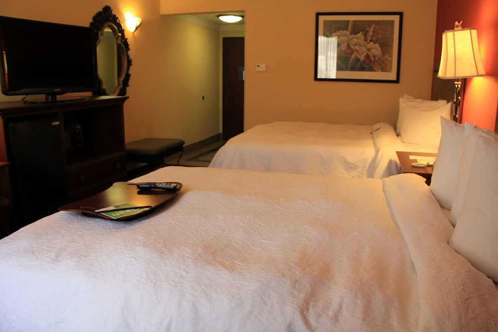 Hampton Inn & Suites Houston Katy - photo 11