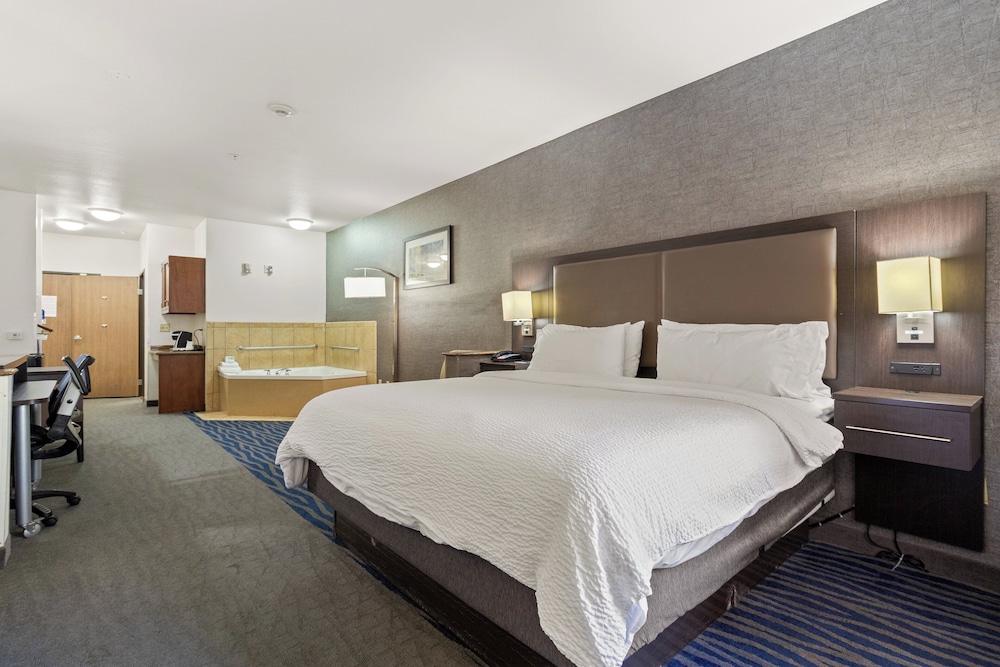 Holiday Inn Express & Suites Barstow Route 66 by IHG - photo 22