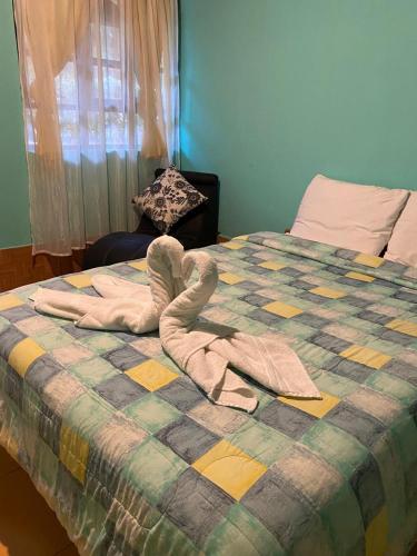 Mindo Garceta Sol in Unknown City, Ecuador