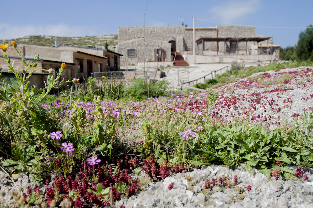 Agriturismo Duca Di Pietratagliata 15266308 — Sant Angelo Muxaro