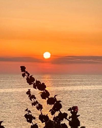 Villetta Vista Mare Donna Lisa — Alliste