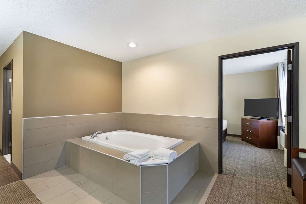 Comfort Suites Cedar Falls Industrial Park - photo 23