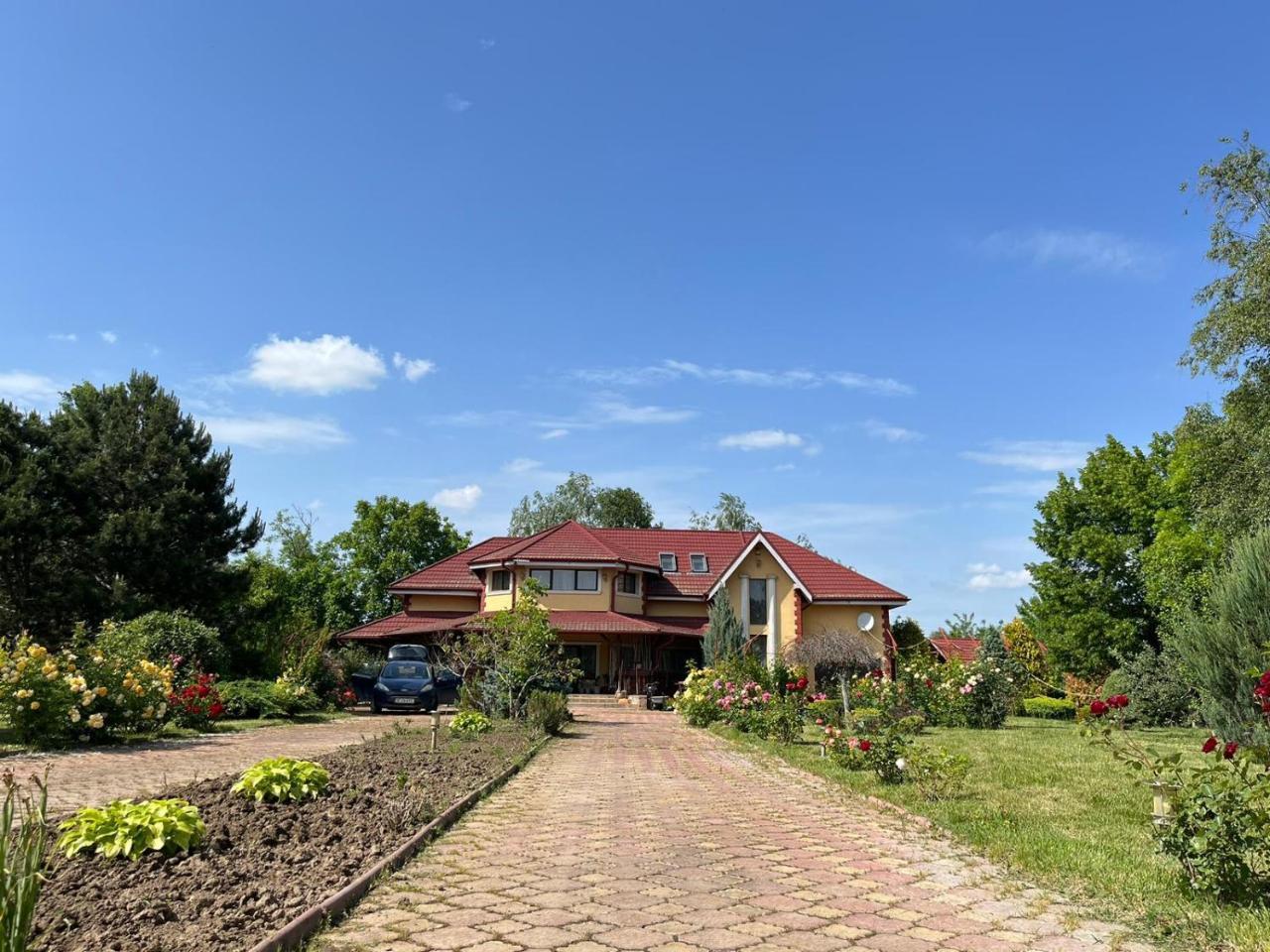 Luxury conac - last minute hotel in Izvoarele