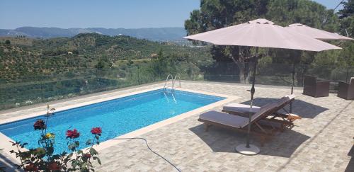 Argassi Hilltop — Zakynthos — photo 5