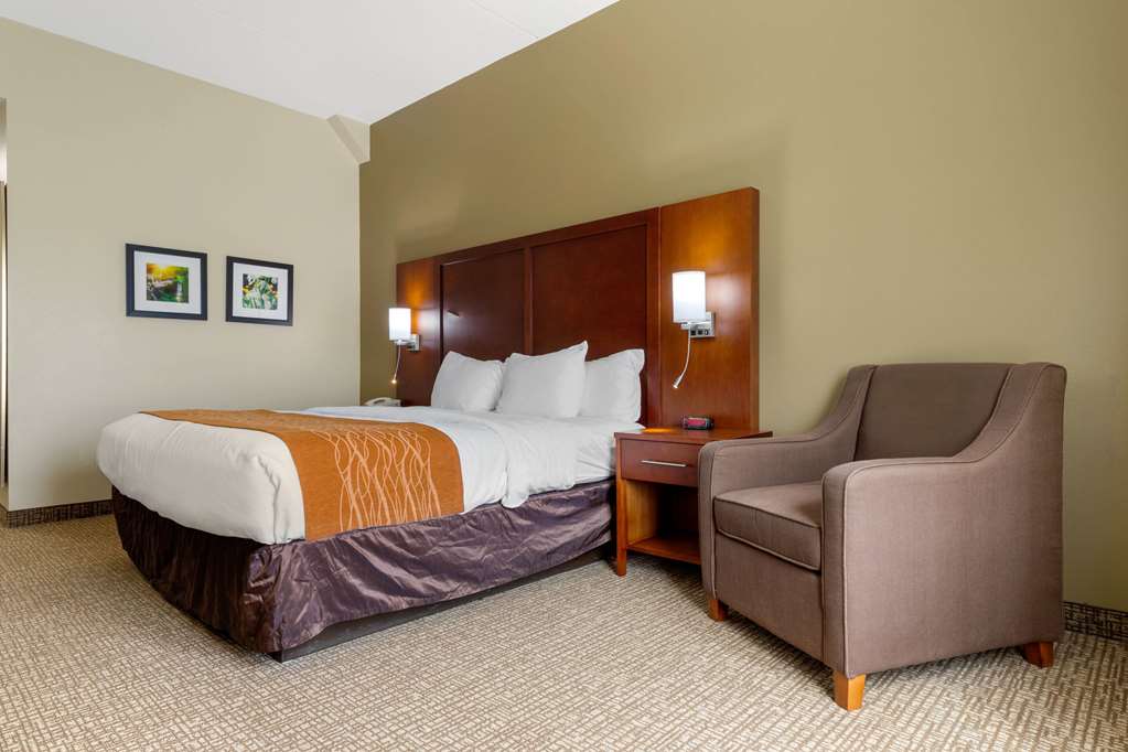 Comfort Inn & Suites Cordele - photo 11