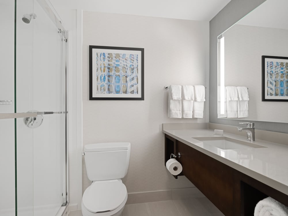 Hilton Garden Inn Chicago Downtown Magnificent Mile - photo 19