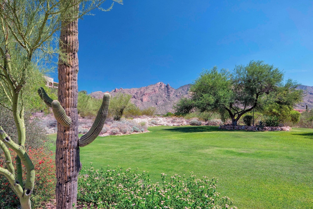 The Westin La Paloma Resort and Spa - photo 100